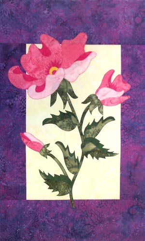 Dog Rose Photo
